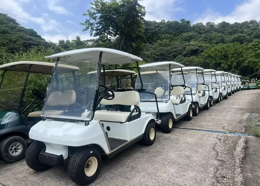 Row of Club Car DS golf carts at a golf course